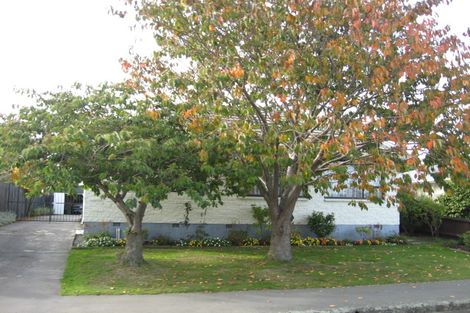 Photo of property in 17 Carbine Place, Sockburn, Christchurch, 8042