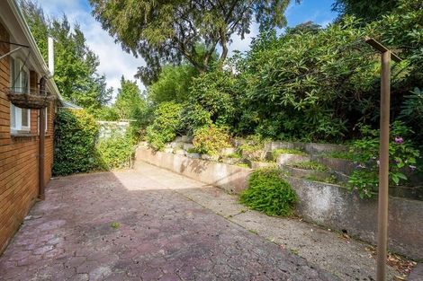 Photo of property in 28f Cornhill Street, North East Valley, Dunedin, 9010