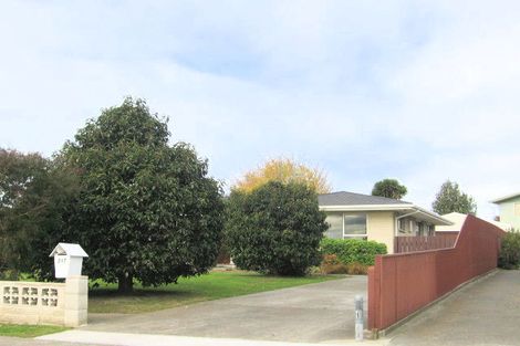 Photo of property in 217 Westminster Avenue, Tamatea, Napier, 4112