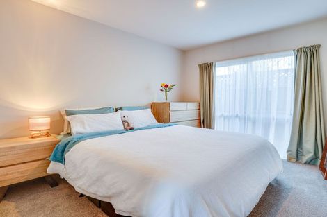 Photo of property in 9/31 Bordesley Street, Phillipstown, Christchurch, 8011