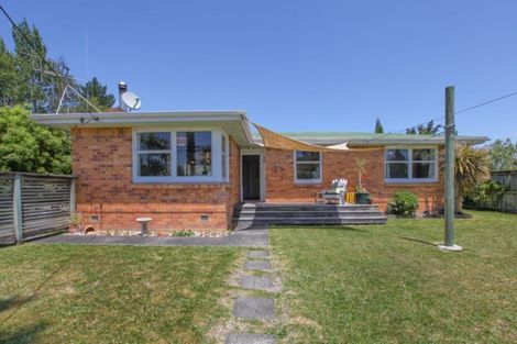Photo of property in 149 Rimu Street, Maeroa, Hamilton, 3200