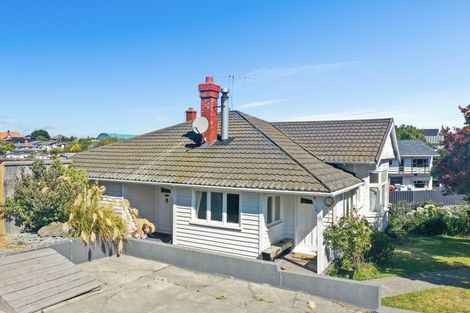 Photo of property in 169 Le Cren Street, Seaview, Timaru, 7910