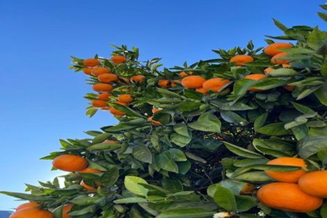 Photo of property in 5 Elliott Crescent, Havelock North, 4130