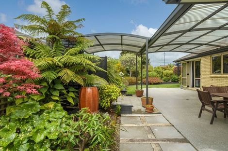 Photo of property in 17 Olive Close, Omokoroa, 3114