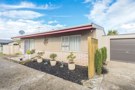 Photo of property in 3a Treadwell Street, Springvale, Whanganui, 4501