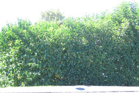 Photo of property in 28a Nigel Road, Browns Bay, Auckland, 0630