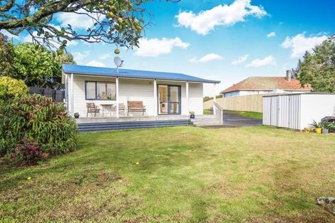 Photo of property in 17 Beatrix Street, Avondale, Auckland, 1026