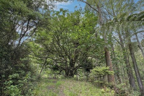 Photo of property in 259 Diggers Valley Road, Herekino, Kaitaia, 0481