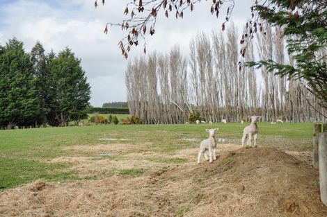 Photo of property in 70 Pomona Road East, Makarewa, Invercargill, 9876