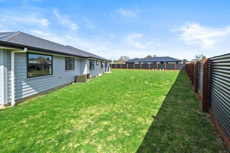 Photo of property in 20 David Street, Hinds, Ashburton, 7773