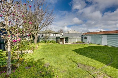Photo of property in 903 Rangiora Street, Mahora, Hastings, 4120