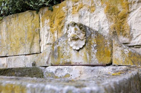 Photo of property in Totara Estate, 583 Alma-maheno Road, Alma, Oamaru, 9492