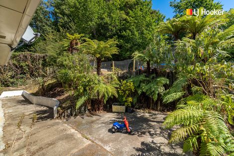 Photo of property in 66 Manchester Street, Bradford, Dunedin, 9011