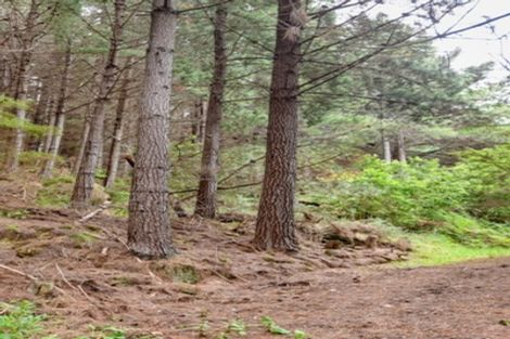 Photo of property in 578 Le Bons Bay Road, Le Bons Bay, Akaroa, 7583