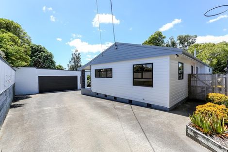 Photo of property in 259a Huatoki Street, Upper Vogeltown, New Plymouth, 4310