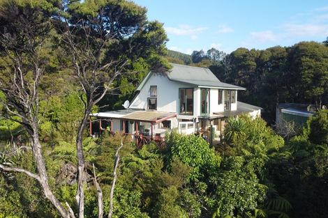 Photo of property in 800 Buffalo Road, Coromandel, 3506
