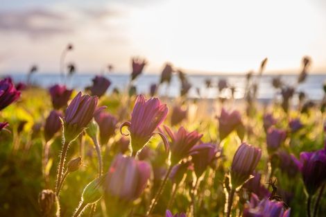 Photo of property in 22 Aperahama Street, Paekakariki, 5034