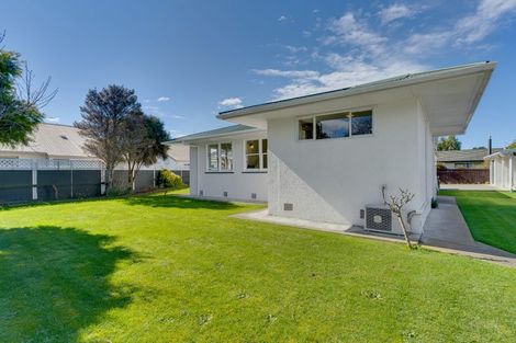 Photo of property in 14 Carvell Street, Blenheim, 7201