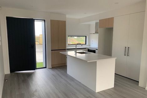 Photo of property in 41 Clay Works Lane, New Lynn, 0600