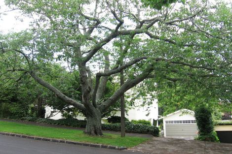 Photo of property in 3 Bingley Avenue, Epsom, Auckland, 1023