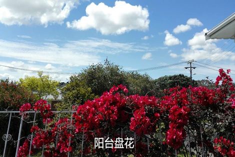 Photo of property in 10 Dundee Place, Blockhouse Bay, Auckland, 0600