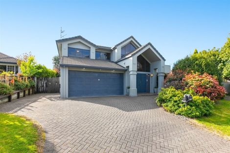 Photo of property in 41 Bethlehem Heights, Bethlehem, Tauranga, 3110