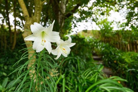 Photo of property in 35 Stewart Crescent, Hokowhitu, Palmerston North, 4410