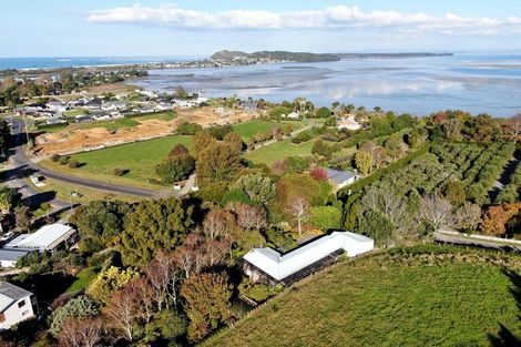 Photo of property in 1-3 Koutunui Road, Athenree, Katikati, 3177