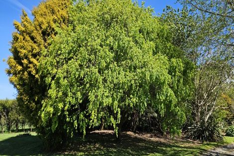 Photo of property in 358 Glue Pot Road, Oropi, Tauranga, 3173