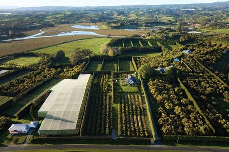 Photo of property in 46 Prestidge Road, Aongatete, Katikati, 3181