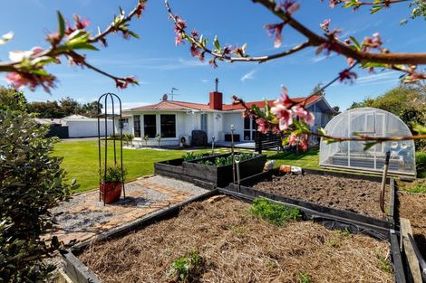 Photo of property in 22 Brook Street, Renwick, 7204