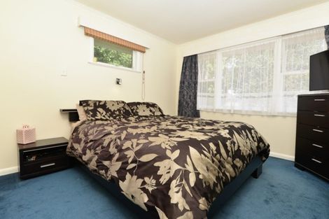 Photo of property in 14 Dover Road, St Andrews, Hamilton, 3200