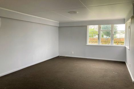 Photo of property in 40 Paul Crescent, Fairfield, Hamilton, 3214