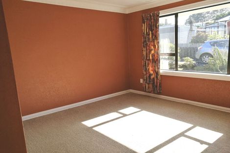 Photo of property in 276 Highcliff Road, Shiel Hill, Dunedin, 9013