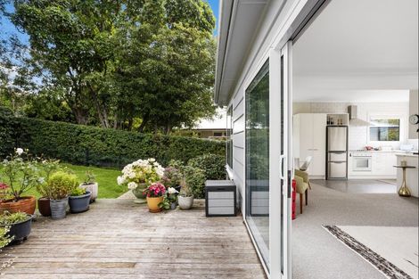 Photo of property in 117 Highgate, Roslyn, Dunedin, 9010