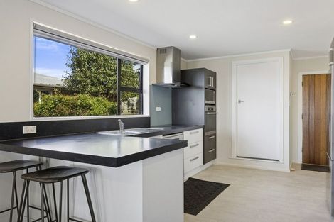 Photo of property in 17 Seaview Road, Brighton, Dunedin, 9035