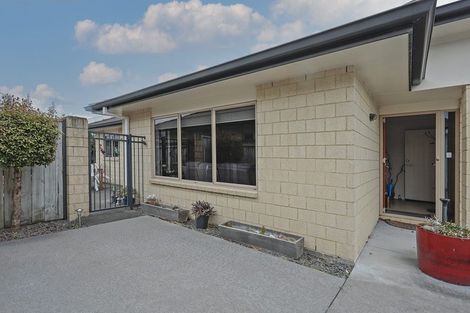 Photo of property in 9c Emmett Street, Greerton, Tauranga, 3112