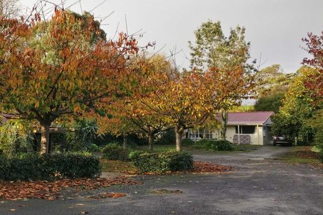 Photo of property in 55a Golding Road, Pukekohe, 2677