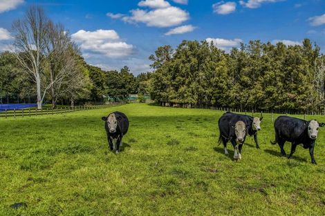 Photo of property in 76a Jericho Road, Pukekohe East, Pukekohe, 2677