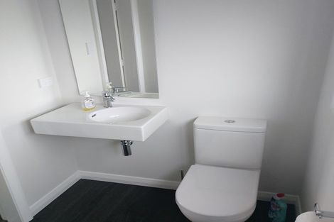 Photo of property in Haddin Court, 9/69 Maxwell Road, Blenheim, 7201