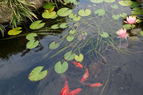 Photo of property in 46 Ruapapa Road, Frasertown, Wairoa, 4195