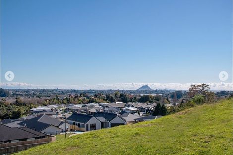 Photo of property in 42 Pinkerton Place, Ohauiti, Tauranga, 3112