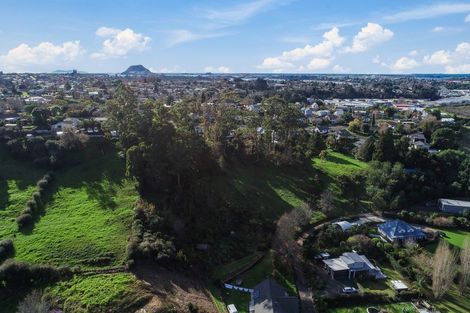 Photo of property in 7 Townhead Crescent, Bethlehem, Tauranga, 3110