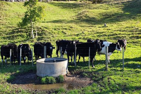 Photo of property in 40 Clarke Road, Te Puna, Tauranga, 3176