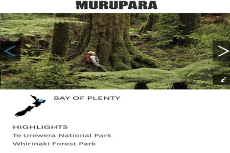 Photo of property in 33 Kauri Crescent, Murupara, 3025