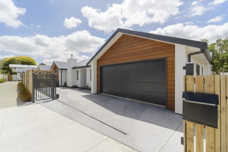 Photo of property in 113b Ferguson Street, West End, Palmerston North, 4412