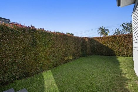 Photo of property in 52 Wainui Avenue, Point Chevalier, Auckland, 1022