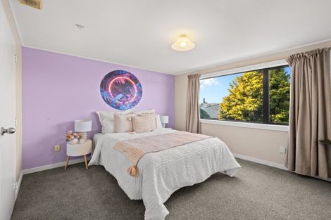 Photo of property in 93 George Street, Tinwald, Ashburton, 7700