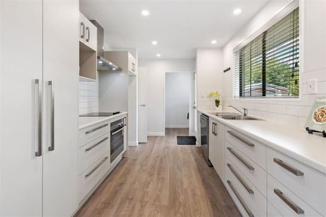 Photo of property in 58 Palatine Terrace, Saint Martins, Christchurch, 8022