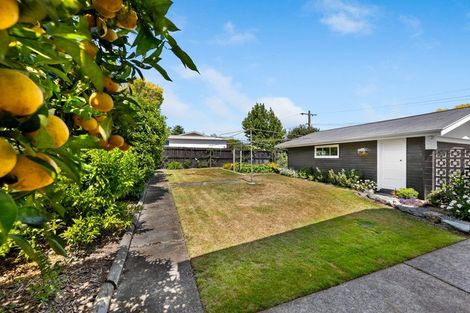 Photo of property in 15 Selwyn Street, Witherlea, Blenheim, 7201